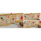 Sense of Taste Board | Educational STEM Learning Toy for Kids Human Body Science