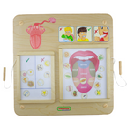 Sense of Taste Board | Educational STEM Learning Toy for Kids Human Body Science