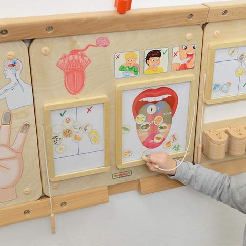 Sense Of Taste Board Learning Educational Kid Toys