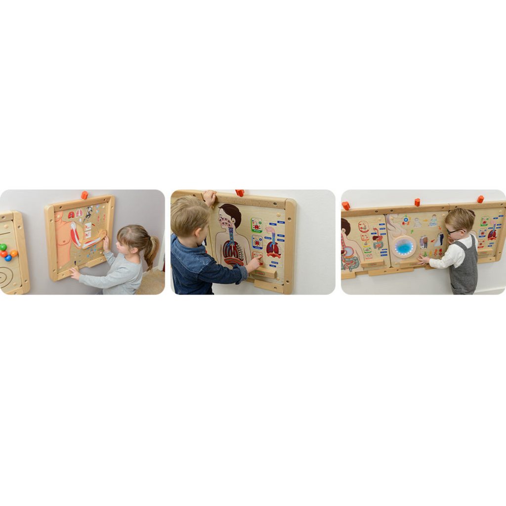 Digestive System Learning Board | Interactive STEM Human Body Teaching Aid for Kids