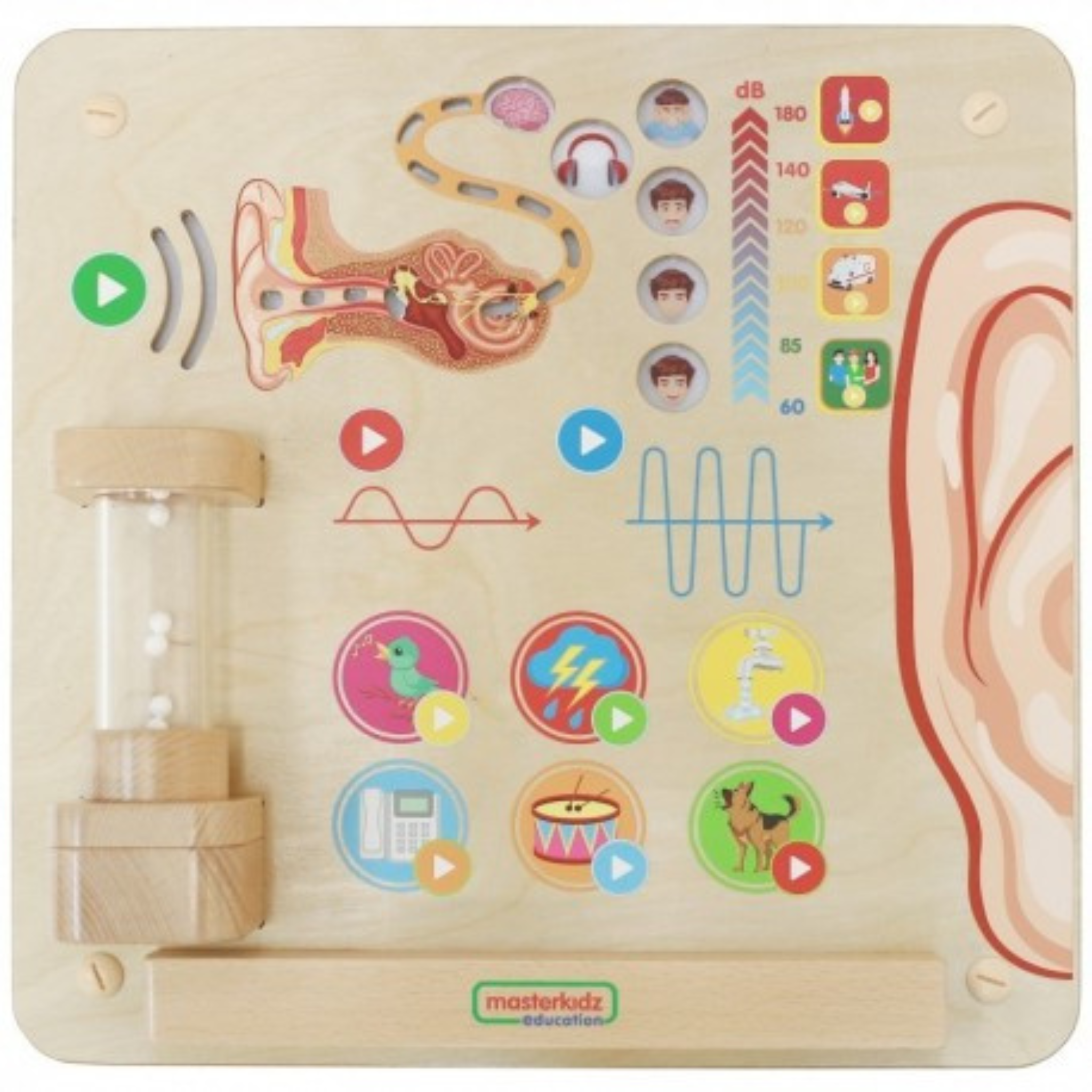 The Sense of Hearing Educational Board | Interactive STEM Sound Learning Toy for Kids