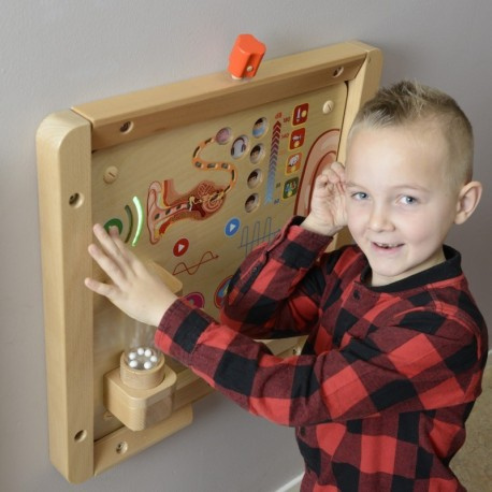 The Sense of Hearing Educational Board | Interactive STEM Sound Learning Toy for Kids