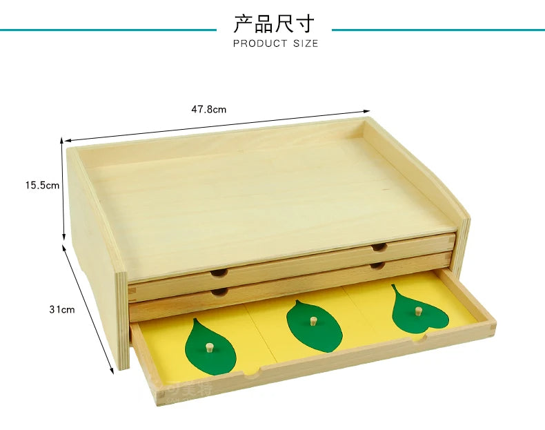 Leaf Cabinet 18 Insets Montessori Botany | Wooden Nature Learning Educational Toy