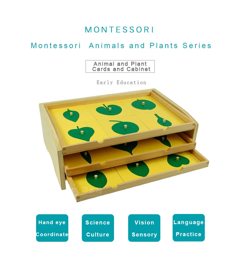 Leaf Cabinet 18 Insets Montessori Botany | Wooden Nature Learning Educational Toy