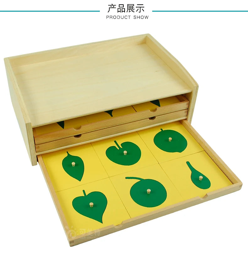 Leaf Cabinet 18 Insets Montessori Botany | Wooden Nature Learning Educational Toy