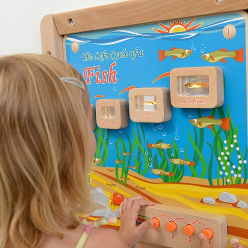 Light-Up Fish Life Cycle Stages Panel | Kids Educational Science Learning Board