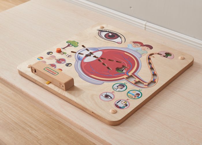 Sense of Sight Learning Board | Kids Human Eye Interactive STEM Educational Toy