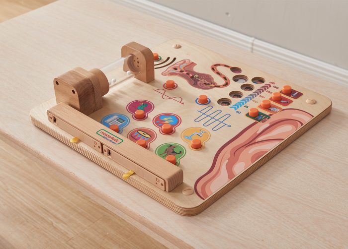 Sense of Hearing Learning Board | Kids Interactive Human Senses STEM Science Toy