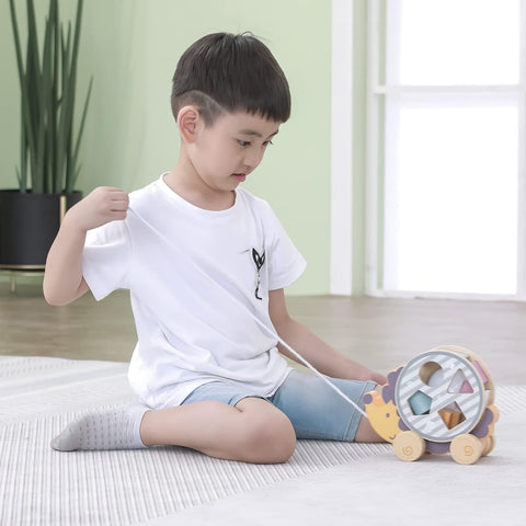 Wooden Hedgehog Shape Sorting Toy | Pull Along Montessori Learning Toy for Kids