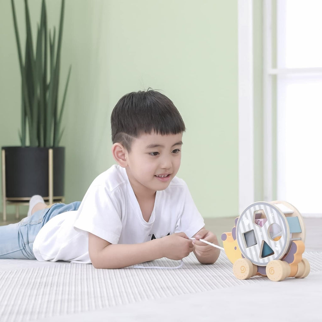Wooden Hedgehog Shape Sorting Toy | Pull Along Montessori Learning Toy Kids