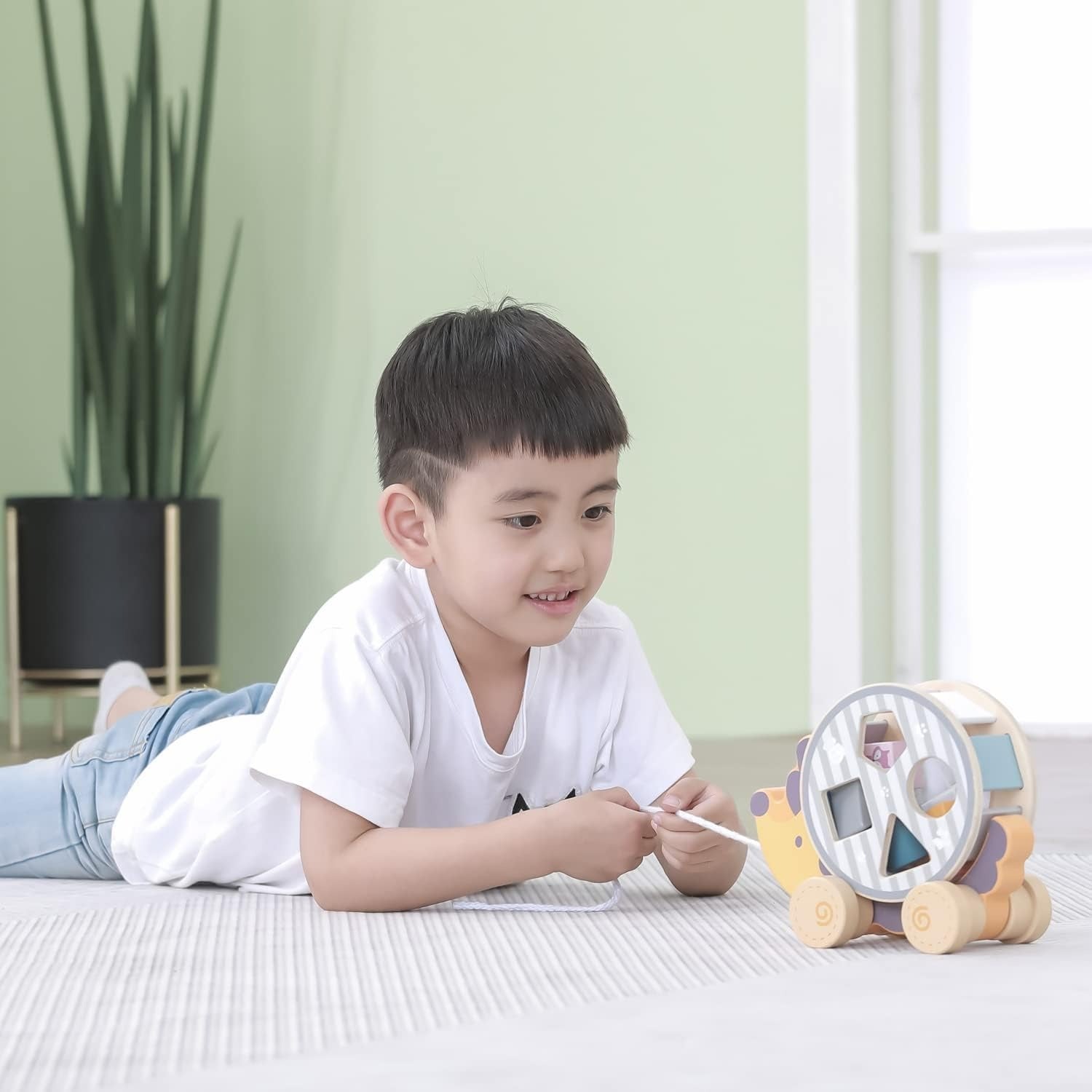 Wooden Hedgehog Shape Sorting Toy | Pull Along Montessori Learning Toy Kids