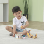 Wooden Hedgehog Shape Sorting Toy | Pull Along Montessori Learning Toy Kids
