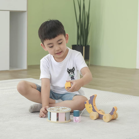 Wooden Hedgehog Shape Sorting Toy | Pull Along Montessori Learning Toy for Kids