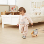 Wooden Hedgehog Shape Sorting Toy | Pull Along Montessori Learning Toy Kids