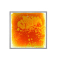 LED Liquid Floor Tile Single Pc | Sensory Light Up Interactive Floor Panel