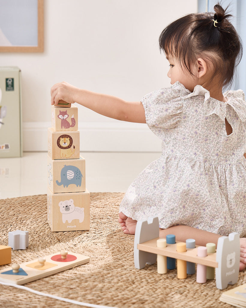 Grow With Me Motion Masters Box (12–18 Months) | Montessori Motor Skills Learning Toy Set