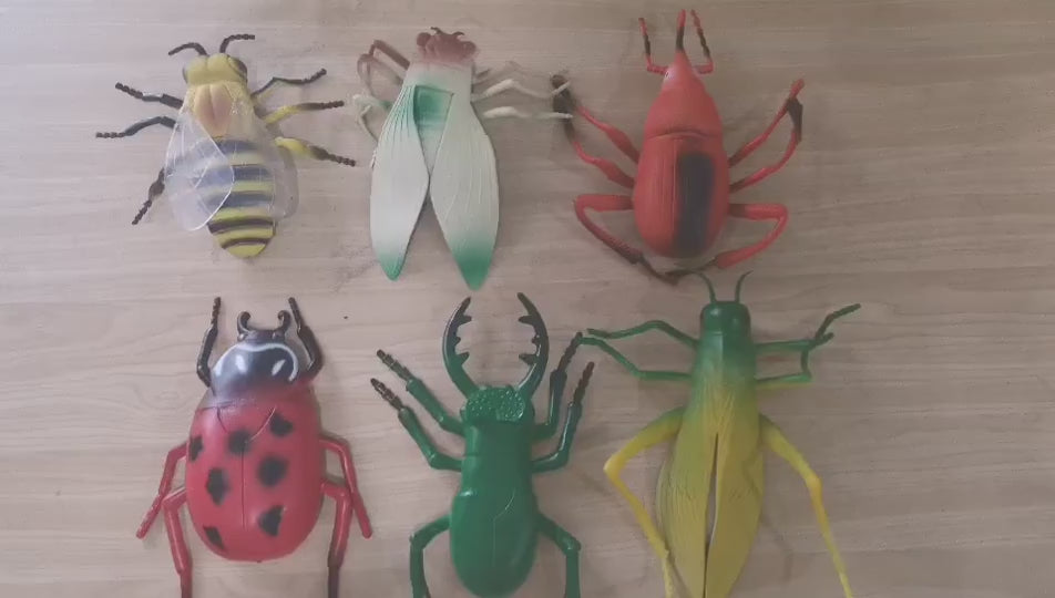 Big Size Realistic Insects Toys Set of 6 | Educational Bug Learning Toys for Kids