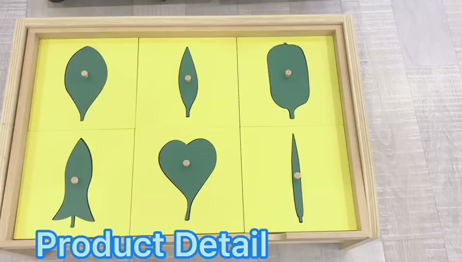 Leaf Cabinet 18 Insets Montessori Botany | Wooden Nature Learning Educational Toy
