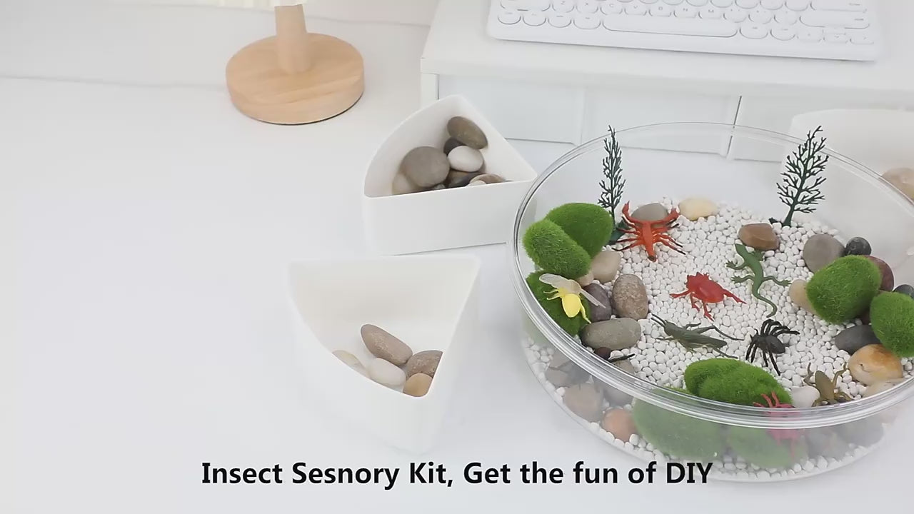Insects Sensory Kit | Autism Fidget Stress Relief Multi-Functional Toy Set