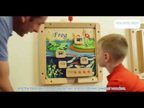 Light-Up Bee Life Cycle Panel | STEM Educational Biology Learning Board for Kids