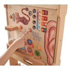 Sense of Hearing Learning Board | Kids Interactive Human Senses STEM Science Toy