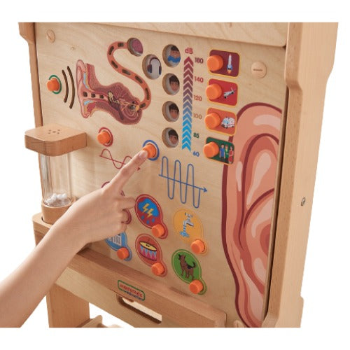 Sense of Hearing Learning Board | Kids Interactive Human Senses STEM Science Toy