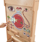 Sense of Sight Learning Board | Kids Human Eye Interactive STEM Educational Toy
