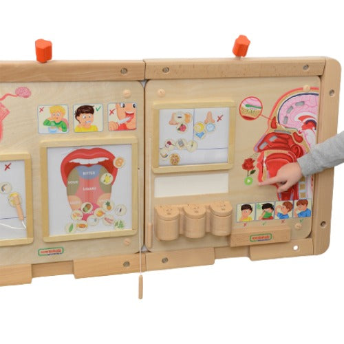 Sense of Smell Learning Board | Kids Interactive Human Senses STEM Educational Toy
