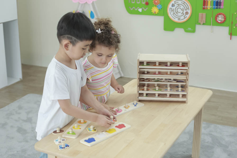 Flat Pegged Puzzle 12PCS Set with Storage Shelf | Wooden Toddler Learning Puzzle Set